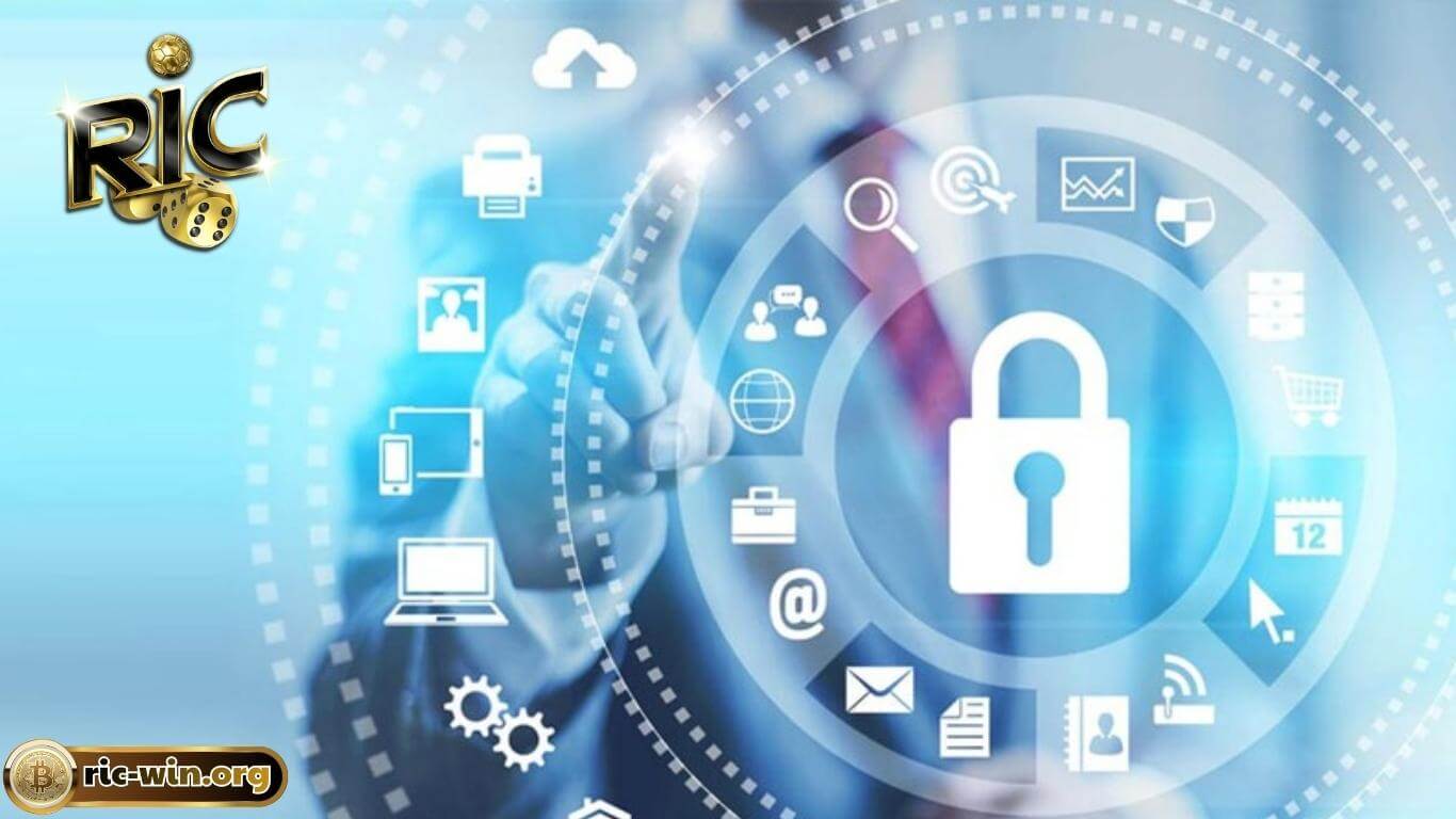 Nội dung của điều khoản bảo mật Ricwin 