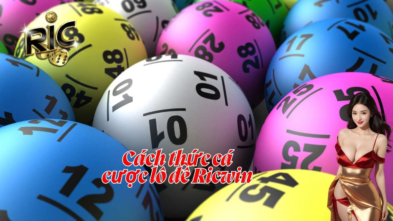 Cách thức cá cược lô đề Ricwin cho tân binh mới Cách thức cá cược lô đề Ricwin cho tân binh mới